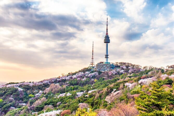 Lee’s Private 4-hour Customized Seoul Tour - Traditional markets: tasting and people-watching with less guesswork