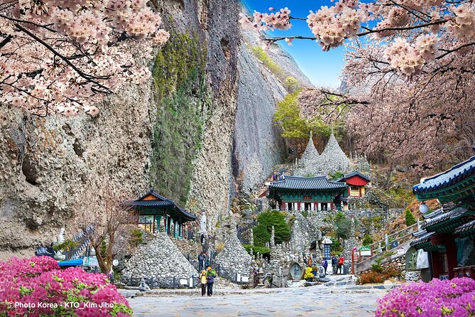 Maisan Cherry Blossom and Jeonju Hanok Village - Maisan Mountain Twin Peaks: Cherry Blossoms and Real Walking Time