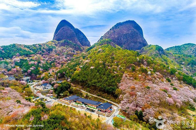 Maisan Cherry Blossom and Jeonju Hanok Village - Who This Tour Fits Best