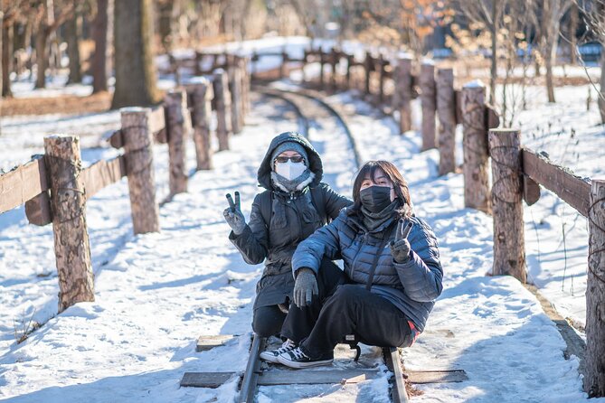 Make Your Trip Around Nami Island With an Expert(DSLR option) - Who this tour is best for (and who might want a different plan)