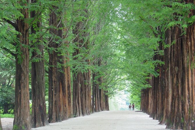 Mount Seorak and Nami Island One Day Tour from Seoul - Seoraksan National Park in 3 Hours: How to Make Every Minute Count