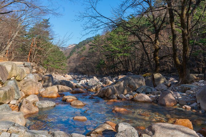 Mount Seorak and Nami Island One Day Tour from Seoul - Cable Car Reality Check: Optional, Cash On-Site, Weather Dependent