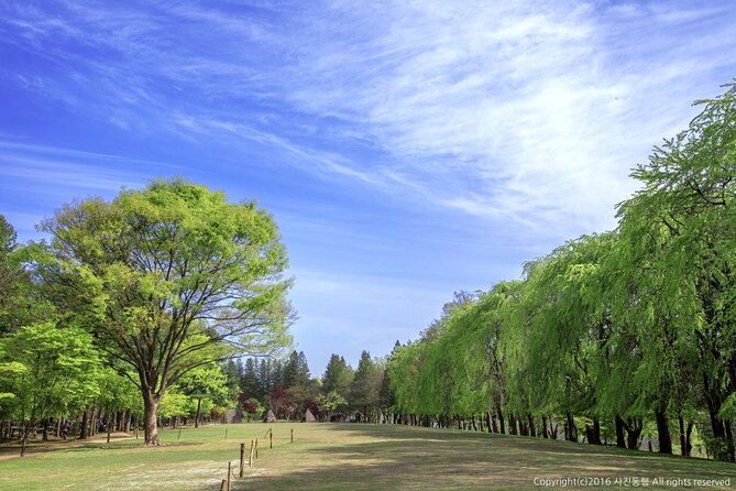 Mount Seorak and Nami Island One Day Tour from Seoul - Nami Island for Tree Lined Strolls: Walking, Bikes, and Winter Sonata Vibes