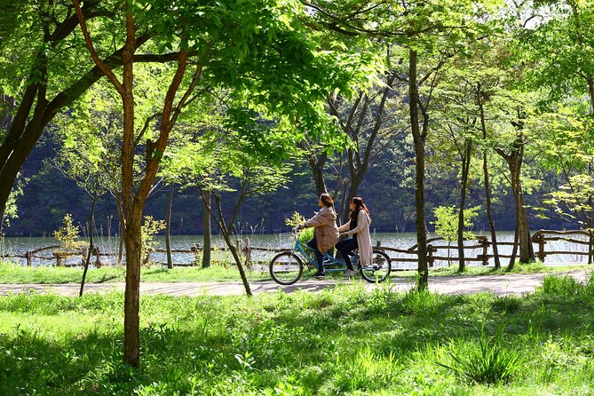 Mount Seorak and Nami Island One Day Tour from Seoul - Meals and Timing: Where This Day Trip Can Feel Tricky