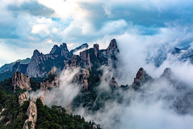 Mount Seorak and Nami Island One Day Tour from Seoul - The Coach Ride from Seoul: Comfort, Timing, and Group Size