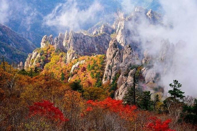 Mt.Seorak & Naksan Temple Day Trip from Seoul - A 12-hour escape from Seoul, with round-trip logistics in place