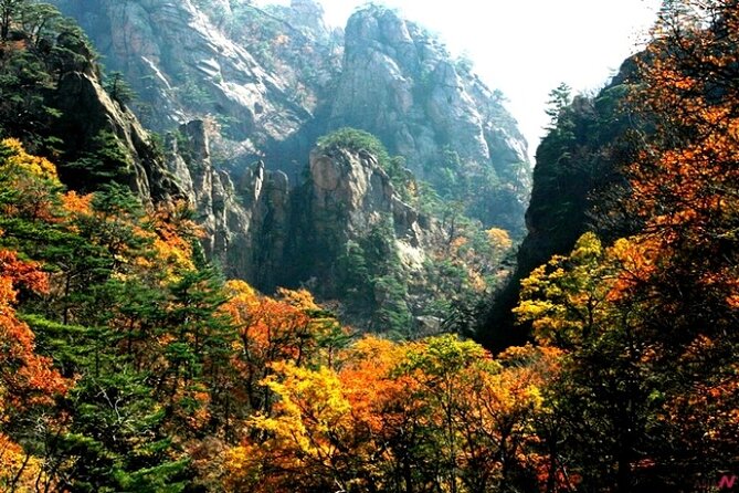 Mt.Seorak & Naksan Temple Day Trip from Seoul - Who this tour suits best (and who should rethink it)