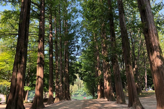 Mt. Seorak+Nami Island+Garden of Morning Calm Day Trip from Seoul - Nami Island ferry time: how to handle the crowds and still enjoy it