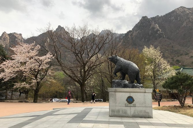 Mt. Seorak+Nami Island+Garden of Morning Calm Day Trip from Seoul - What is included for $95.18, and what can add up