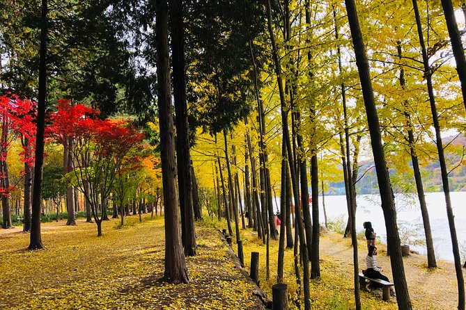 Mt. Seorak+Nami Island+Garden of Morning Calm Day Trip from Seoul - Comfort, group size, and guide quality you can actually feel