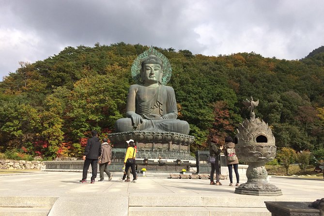 Mt. Seorak+Nami Island+Garden of Morning Calm Day Trip from Seoul - Who should book this Seoul Mt. Seorak plus Nami combo