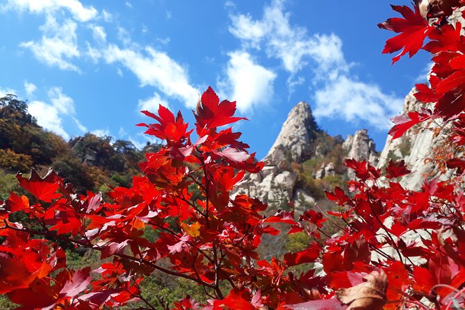 Mt. Seorak+Nami Island+Garden of Morning Calm Day Trip from Seoul - Pickup points, timing, and why 14 hours feels like the real story