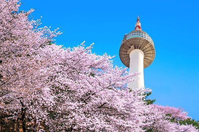 N Seoul Tower Observatory Ticket South Korea - Key Highlights You Should Know Before You Go