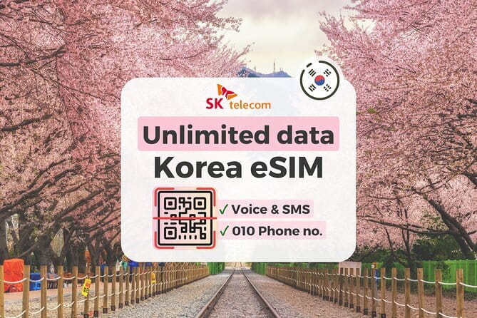 N Seoul Tower Observatory Ticket South Korea - Ryan Cheezzzball Adventure Park and Kakao Character Photos