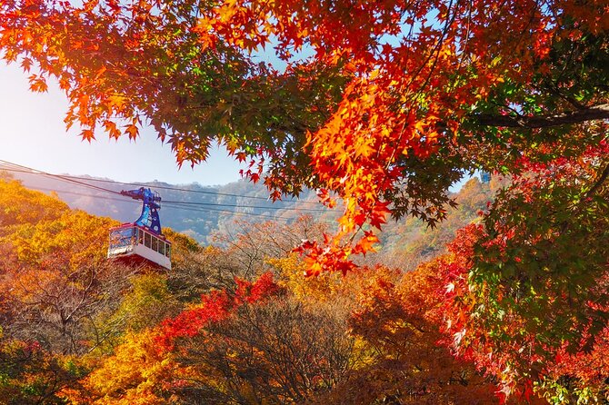Naejangsan National Park Autumn Foliage One Day Tour from Seoul - Coach pickup from Seoul to Naejangsan, with a simple start