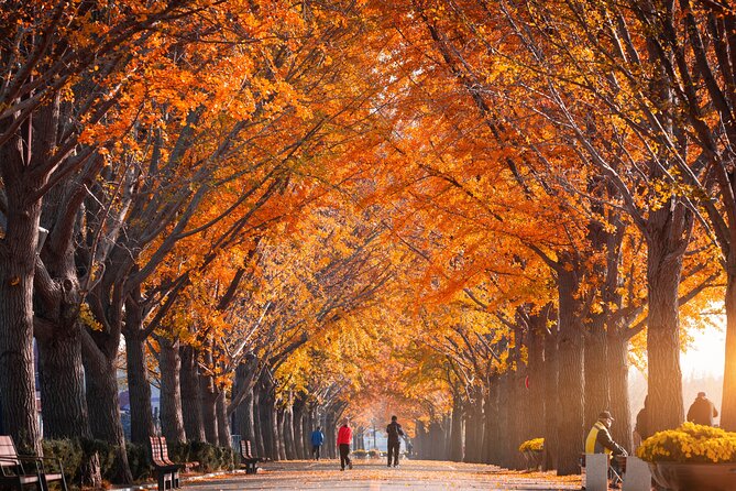 Naejangsan National Park Autumn Foliage One Day Tour from Seoul - A realistic 13 to 14 hour timeline, plus weather and traffic reality