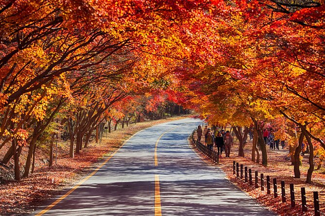 Naejangsan National Park Autumn Foliage One Day Tour from Seoul - Who this Naejangsan foliage tour suits best