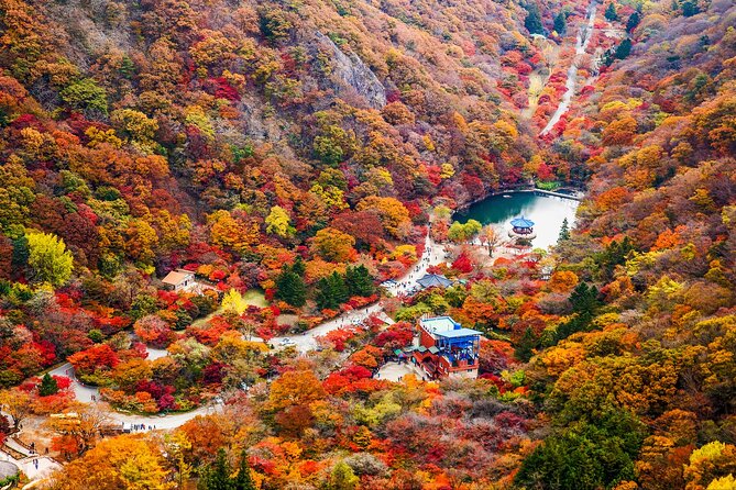 Naejangsan National Park Autumn Foliage One Day Tour from Seoul - Practical packing for autumn leaves and long coach time