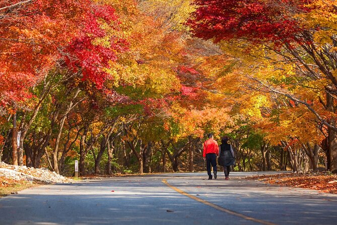 Naejangsan National Park Autumn Foliage One Day Tour from Seoul - Should you book this Naejangsan autumn foliage one-day tour?