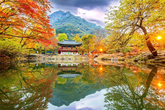 Naejangsan National Park Autumn Foliage One Day Tour from Seoul - Naejangsa Temple: a group stop inside the fall color