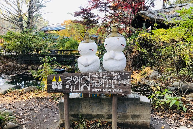 Nami+Alpaca+Garden of Morning Calm (+Rail Bike Option) - Gapyeong area rail biking: choose Gyeonggang and plan for shared seating