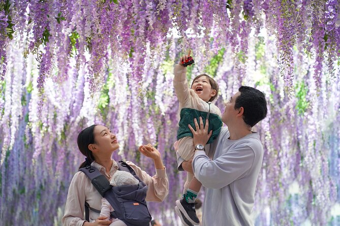 Nami Island and Begonia Bird Park Tour from Seoul (opt Railbike) - Why this Seoul countryside day feels like a proper reset