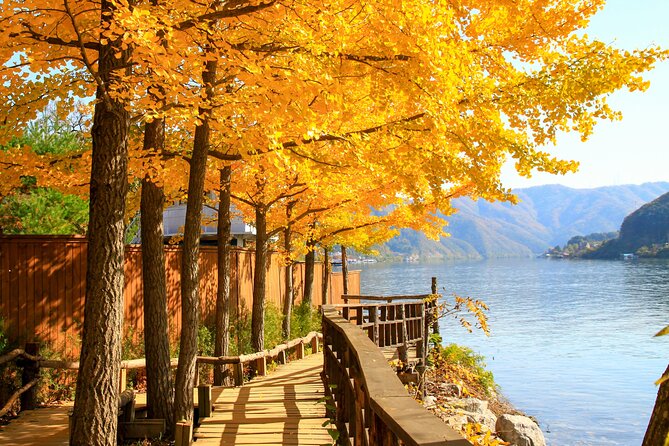 Nami Island and Begonia Bird Park Tour from Seoul (opt Railbike) - Price and value: is $58.20 worth it?