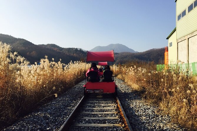 Nami Island and Begonia Bird Park Tour from Seoul (opt Railbike) - Gapyeong Begonia Bird Park: flowers, parrots, and alpacas in 90 minutes