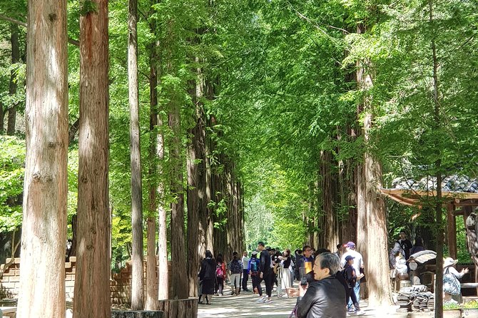 Nami Island and Petite France - Filming location - Key things that make this tour work