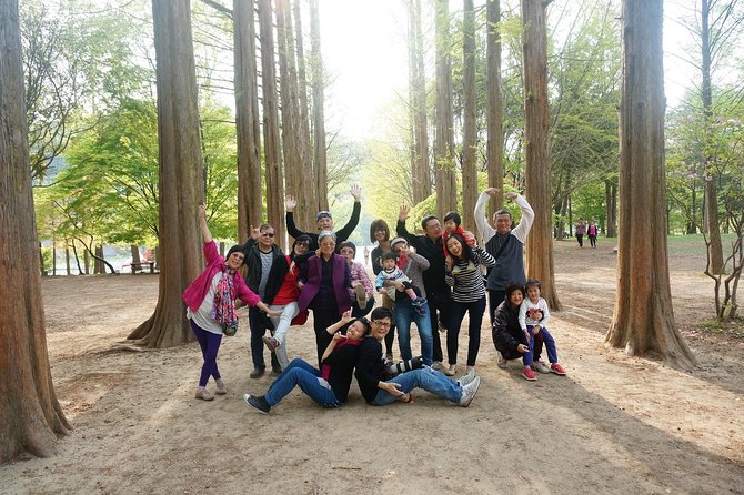 Nami Island from Seoul: Petit France and Garden of Morning Calm - Picking Your Time: Early Pickup and a 9-Hour Rhythm