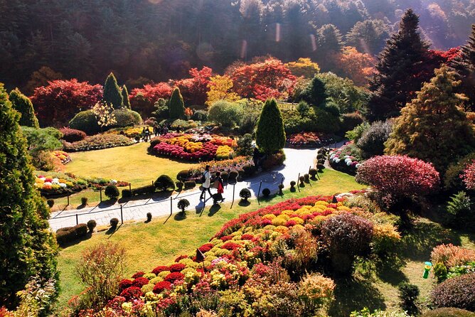 Nami Island & Garden of Morning Calm & Gangchon Railbike Tour - Getting the Most Out of Two Hours at Each Stop