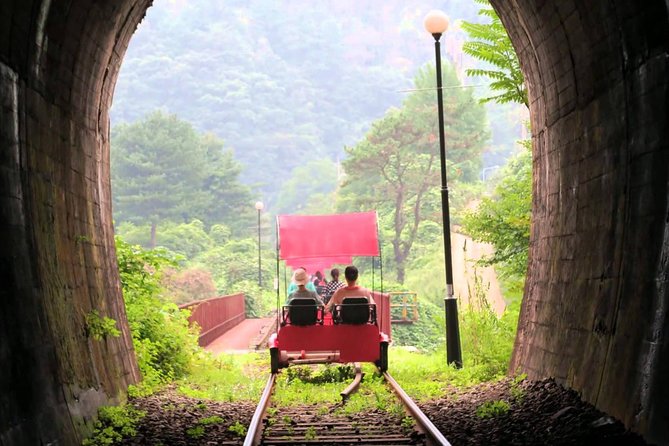 Nami Island & Garden of Morning Calm & Gangchon Railbike Tour - Nami Island in Winter: Classic Scenic Paths, Real Crowd Reality