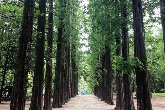 Nami Island & Nearby Attractions : Charter Van Tour With Driver - How the Whole Route Feels With Heat, Kids, and Timing