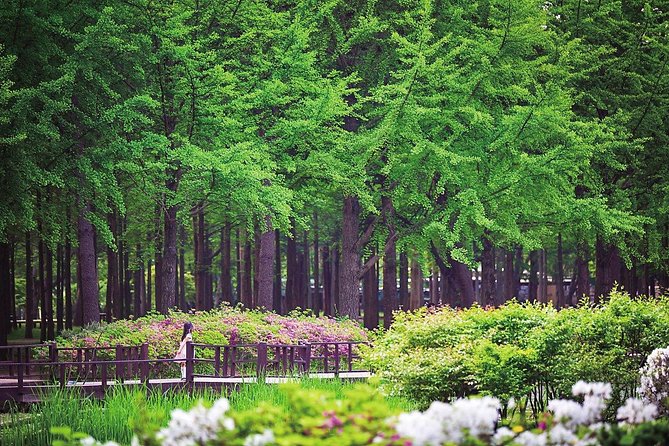 Nami Island& Petite France& Garden of Morning Calm& Italian Village One-Day Tour - Garden of Morning Calm: a giant garden, with real time pressure