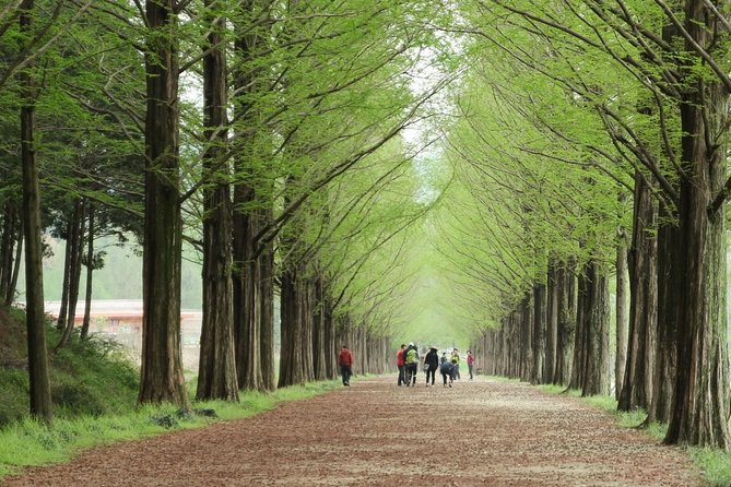 Nami Island& Petite France& Garden of Morning Calm& Italian Village One-Day Tour - Price and value: what your $76 really buys