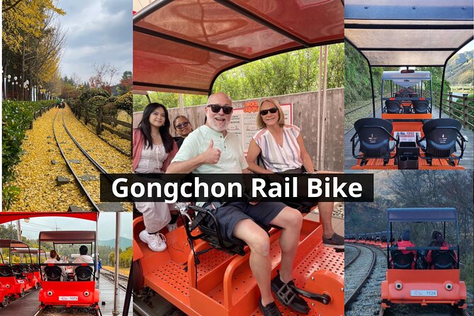Nami Island & Petite France & Italian Village & Gangchon Rail Bike One-Day Tour - Meeting at Hongik Univ. Station, pickup, and the timing reality