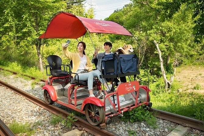 Nami Island & Petite France & Italian Village & Gangchon Rail Bike One-Day Tour - Gangchon Rail Park rail bike: the ride most people talk about