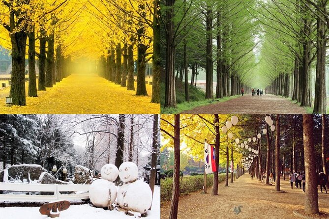 Nami Island & Petite France with Italian Village One-Day Tour - Nami Island: Winter Sonata-era fame, 3 hours, and how to spend it well