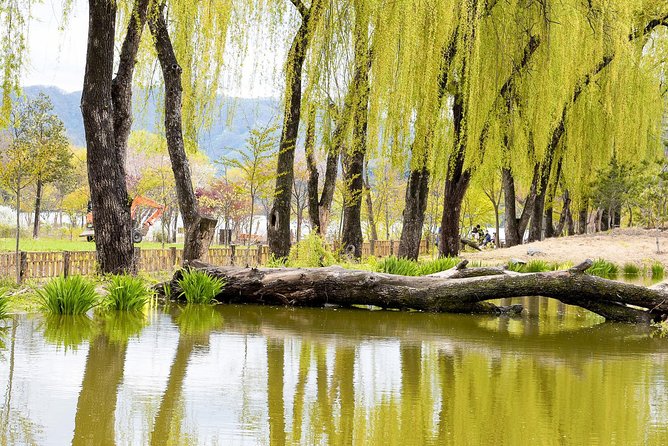 Nami Island & Petite France with Italian Village One-Day Tour - What’s included in the price, and what you still need to plan for