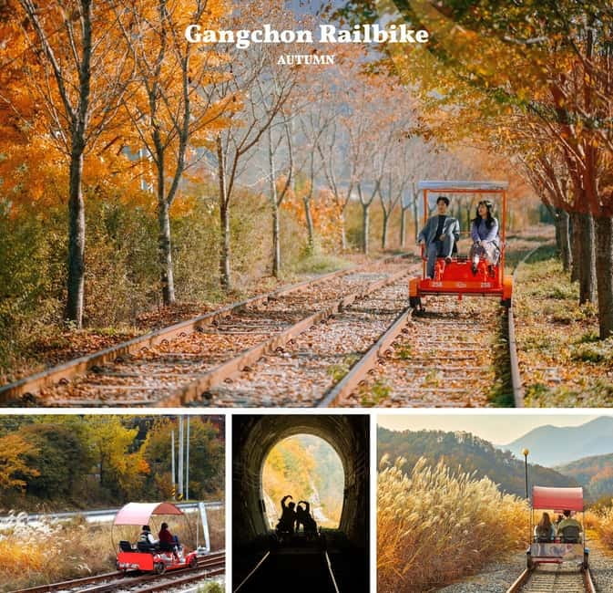 Nami Island, Railbike & Alpaca Garden Day Trip from Seoul - Gangchon Railbike Pedal Through Valleys and Fall Foliage
