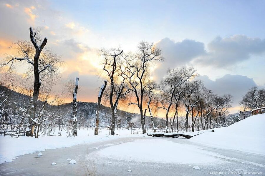 Nami Island, Railbike & Alpaca Garden Day Trip from Seoul - Price, Included Value, and What You Still Need to Plan