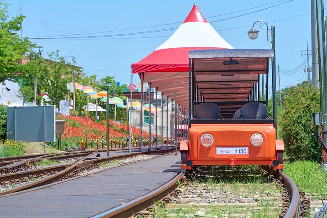 Nami Island Trip with Petite France & Italian Village and Gangchon Rail Bike - Price and What Feels Like a Good Value