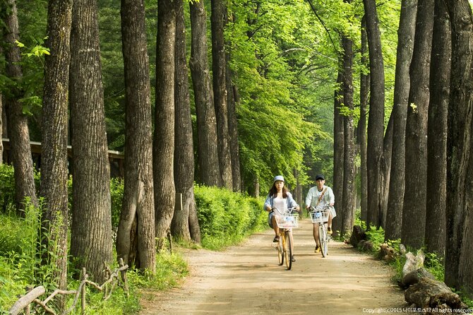 Nami Island Trip with Petite France & Italian Village and Gangchon Rail Bike - Who Should Book This Combo Tour