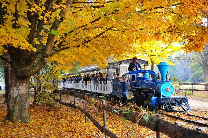 Nami & Maple Road & Theatre des Lumieres Day Tour from Seoul - Price and Value: What Your $56 Actually Covers