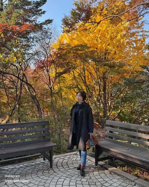 Nami & Maple Road & Theatre des Lumieres Day Tour from Seoul - Pacing, Season, and What to Bring for a Smooth Day