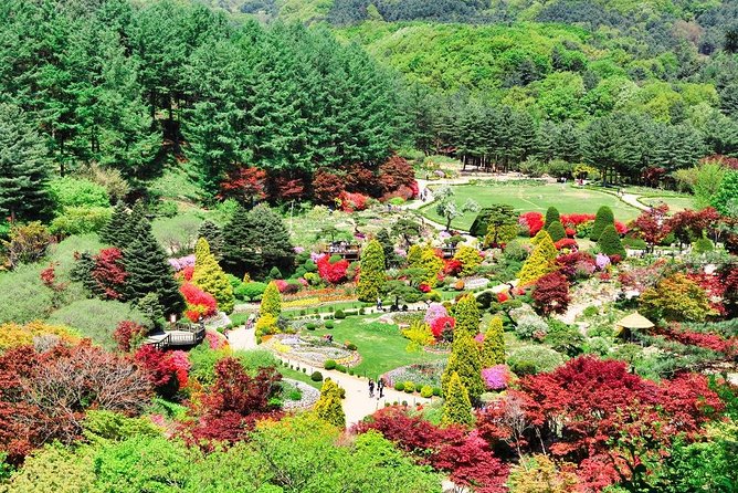 One Day Private Tour-Nami, Petite and Garden of Morning Calm - Why This Private Nami, Petite France, and Morning Calm Day Works