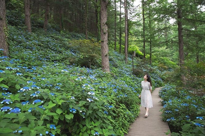 One Day Private Tour-Nami, Petite and Garden of Morning Calm - How Long You Spend at Each Place (and What That Means for Your Day)