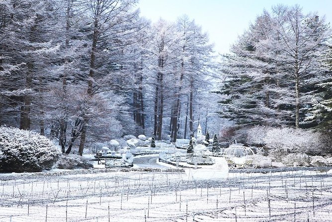 One Day Private Tour-Nami, Petite and Garden of Morning Calm - Price and Value: Is $309 Per Person Fair for This Mix?