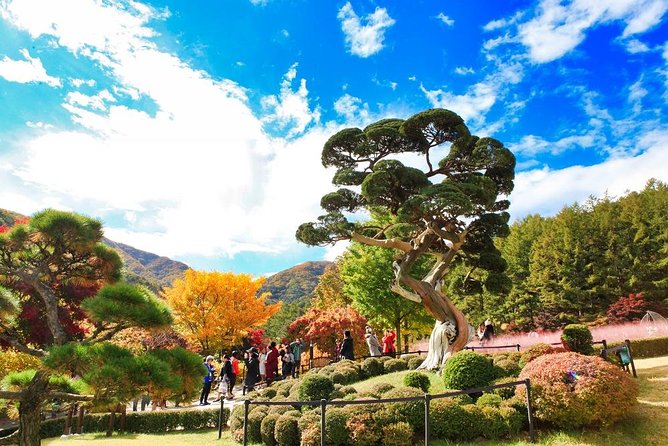 One Day Private Tour-Nami, Petite and Garden of Morning Calm - The Day Starts Smooth: Hotel Pickup, Minivan Comfort, and a 9:00 am Plan