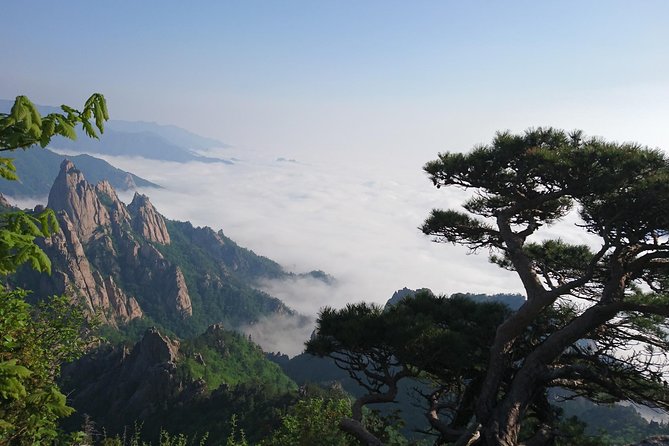 One-Day Tour for stunning Mt.Seoraksan from Seoul - Seoraksan National Park: make the most of a 1-hour entry window